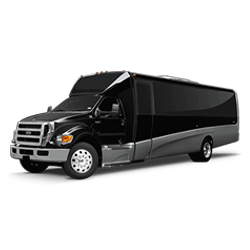 16 Passenger Party Bus