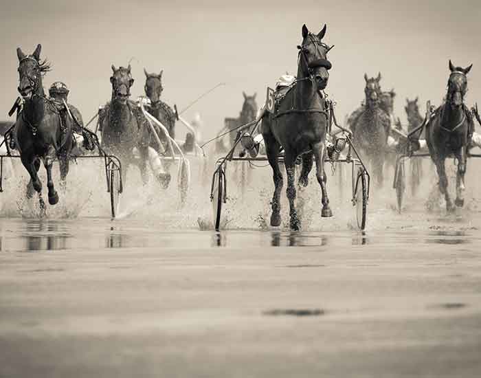 Horse-Racing-Trips-Rental