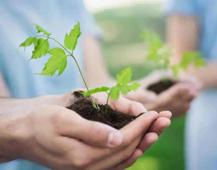 Non-Profit-Organization-Transportation-Services-Rental