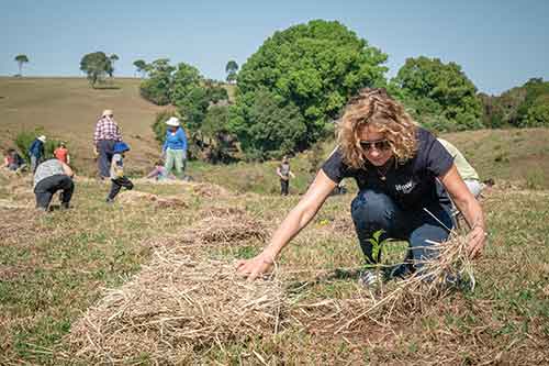 Non-Profit Organization