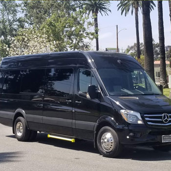 14-Passenger-Party-Bus-Rental-services